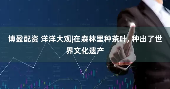 博盈配资 洋洋大观|在森林里种茶叶, 种出了世界文化遗产